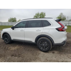 2025 HONDA CRV 7FARS5H88SE018585 50629175