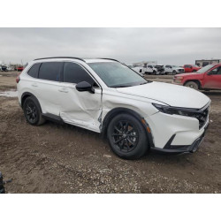 2025 HONDA CRV 7FARS5H88SE018585 50629175