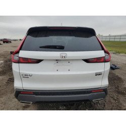 2025 HONDA CRV 7FARS5H88SE018585 50629175