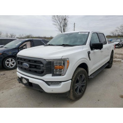 2022 FORD F-150 1FTEW1EP2NKD74265 50225965