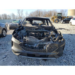 2020 FORD ESCAPE 1FMCU9G6XLUB86378 50589815