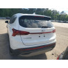 2023 HYUNDAI SANTA FE 5NMS14AJ3PH578544 53149725