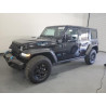 2023 JEEP WRANGLER 1C4JJXN60PW661333 55106135