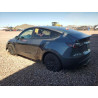 2022 TESLA MODEL Y 7SAYGDEE3NF543705 50244955