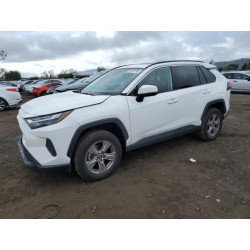 2022 TOYOTA RAV4 2T3W1RFV3NC174597 51487745
