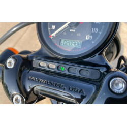 2020 HARLEY-DAVIDSON SPRTSTR120 1HD1LC312LB429455 55176655