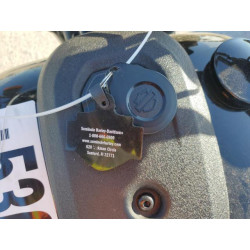 2023 HARLEY-DAVIDSON FXLRS 1HD1YWZ13PB066745 53699695