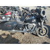 2022 HARLEY-DAVIDSON FLHXS 1HD1KRP24NB667366 48076985