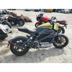 2020 HARLEY-DAVIDSON ELW 1HD2XAEB3LB800710 53134415