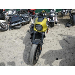 2020 HARLEY-DAVIDSON ELW 1HD2XAEB3LB800710 53134415