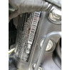 2020 HARLEY-DAVIDSON ELW 1HD2XAEB3LB800710 53134415