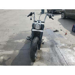 2020 HARLEY-DAVIDSON FLSL 1HD1YDJ17LB072946 55080085