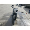 2020 HARLEY-DAVIDSON FLSL 1HD1YDJ17LB072946 55080085