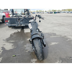 2020 HARLEY-DAVIDSON FLSL 1HD1YDJ17LB072946 55080085