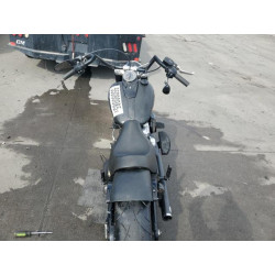 2020 HARLEY-DAVIDSON FLSL 1HD1YDJ17LB072946 55080085