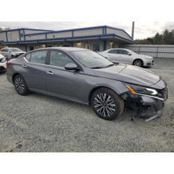 2023 NISSAN ALTIMA 1N4BL4DV2PN309078 50129605