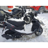 2023 GENUINE SCOOTER CO. SCOOTER RFVPAP5A1P1133303 81491124
