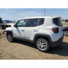 2023 JEEP RENEGADE ZACNJDB19PPP68772 54206465