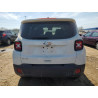 2023 JEEP RENEGADE ZACNJDB19PPP68772 54206465