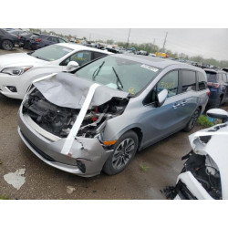 2023 HONDA All Models 5FNRL6H61PB041825 55061435