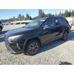 2024 TOYOTA RAV4 JTMB6RFVXRD116861 54306325