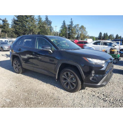 2024 TOYOTA RAV4 JTMB6RFVXRD116861 54306325