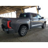 2024 TOYOTA TUNDRA 5TFMA5DB7RX134340 52682195