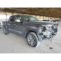 2024 TOYOTA TUNDRA 5TFMA5DB7RX134340 52682195