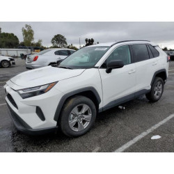 2024 TOYOTA RAV4 4T3LWRFV8RU148909 48890455