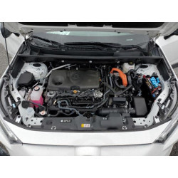 2024 TOYOTA RAV4 4T3LWRFV8RU148909 48890455