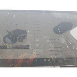 2023 TESLA MODEL Y 7SAYGAEE4PF879736 55206805