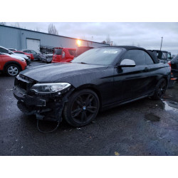 2015 BMW M2