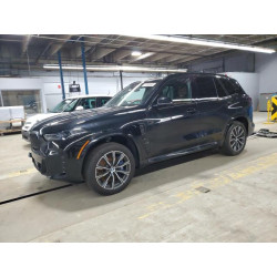 2024 BMW X5 5UX43EU04R9S90928 52098945
