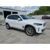 2024 BMW X5 5UX13EU05R9S49811 51493175