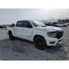 2020 RAM 1500 1C6SRFJM9LN217208 45608515