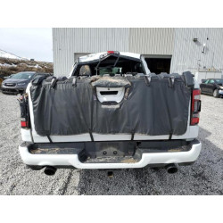 2020 RAM 1500 1C6SRFJM9LN217208 45608515