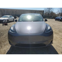 2023 TESLA MODEL Y 7SAYGDEE5PF909201 50081335