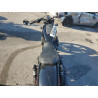 2024 HARLEY-DAVIDSON RH975 1HD1ZH123RB307834 49869465