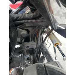 2024 HARLEY-DAVIDSON FL 1HD1MAF10RB856669 50909025