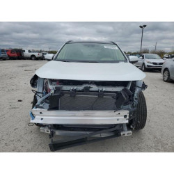 2024 TOYOTA RAV4 JTMD6RFV8RJ046593 53039425