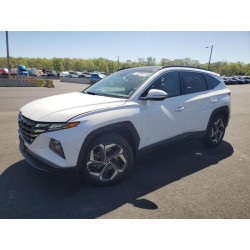 2024 HYUNDAI TUCSON 5NMJECDE2RH298447 54663305