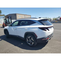 2024 HYUNDAI TUCSON 5NMJECDE2RH298447 54663305