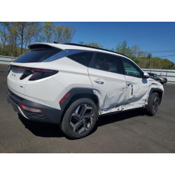 2024 HYUNDAI TUCSON 5NMJECDE2RH298447 54663305