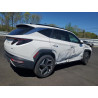 2024 HYUNDAI TUCSON 5NMJECDE2RH298447 54663305