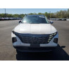 2024 HYUNDAI TUCSON 5NMJECDE2RH298447 54663305