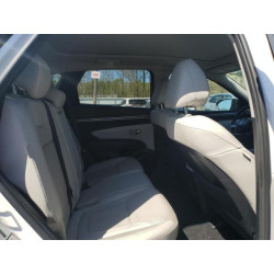 2024 HYUNDAI TUCSON 5NMJECDE2RH298447 54663305