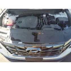 2024 HYUNDAI TUCSON 5NMJECDE2RH298447 54663305