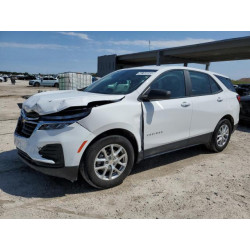2023 CHEVROLET EQUINOX 3GNAXHEG2PL251207 48768095