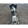 2022 HARLEY-DAVIDSON FL 1HD1KHC15NB655265 54347485