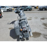 2020 HARLEY-DAVIDSON FL 1HD1FVC10LB655934 50255695